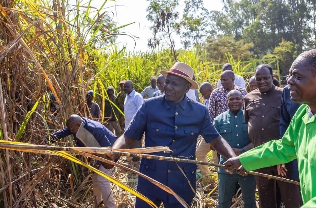 President William Ruto
