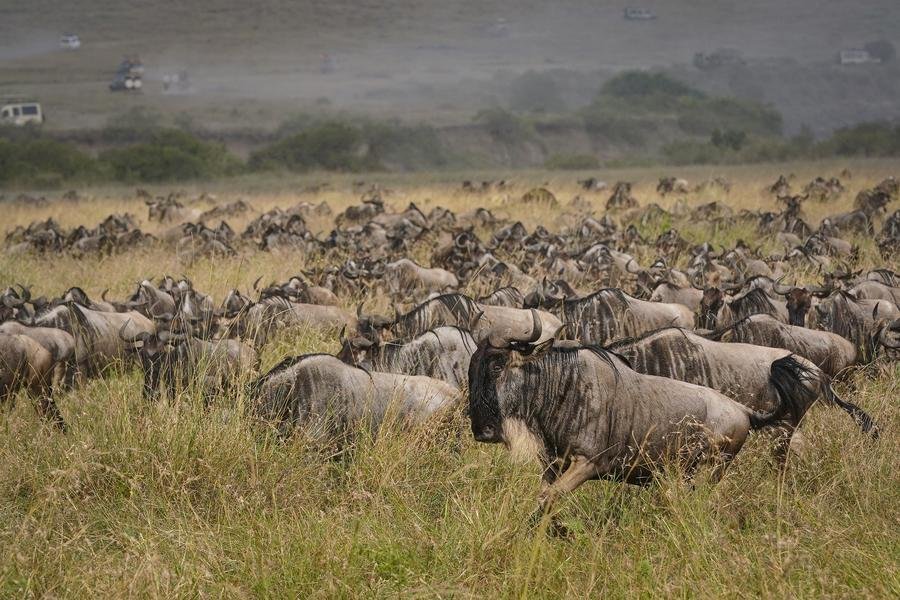 Africa emerges as trendy destination for young Chinese travellers